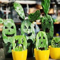 Cactus d'Halloween