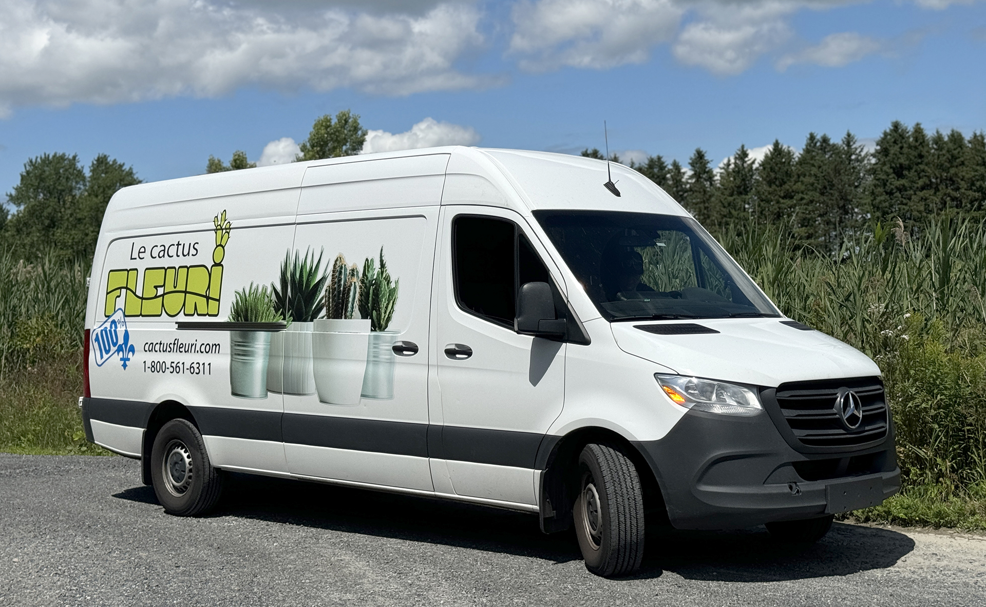 camion le cactus fleuri 1920 px