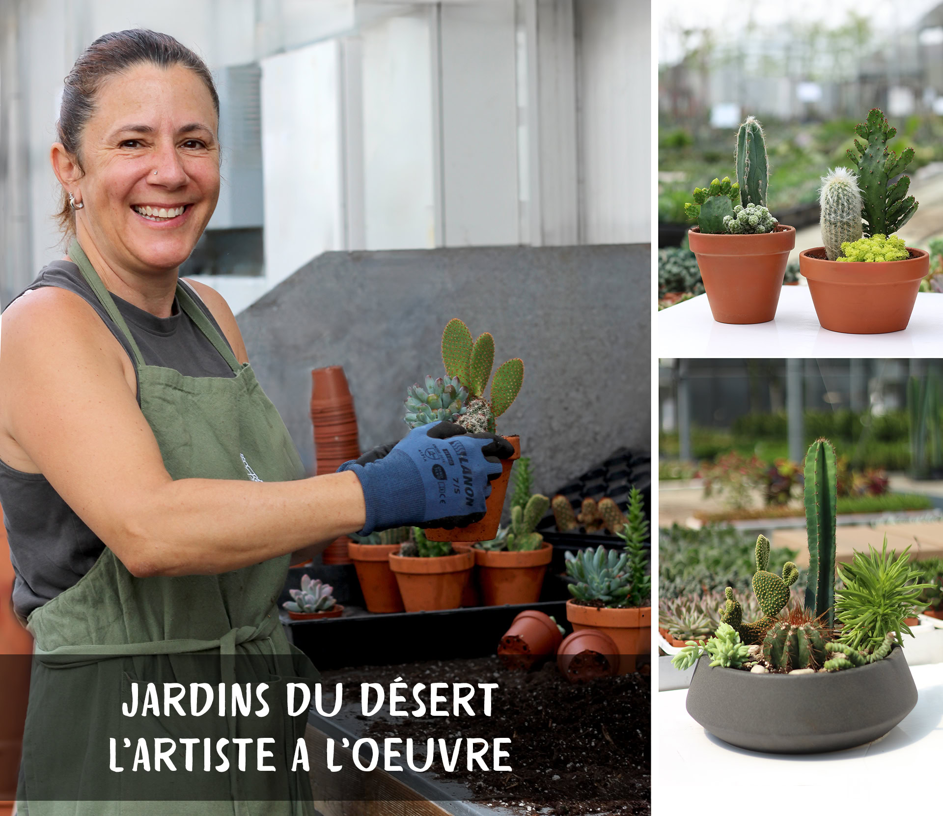 vente commerciale de cactus Jardin de cactus en pot de grès fait au cactus fleuri au Quebec