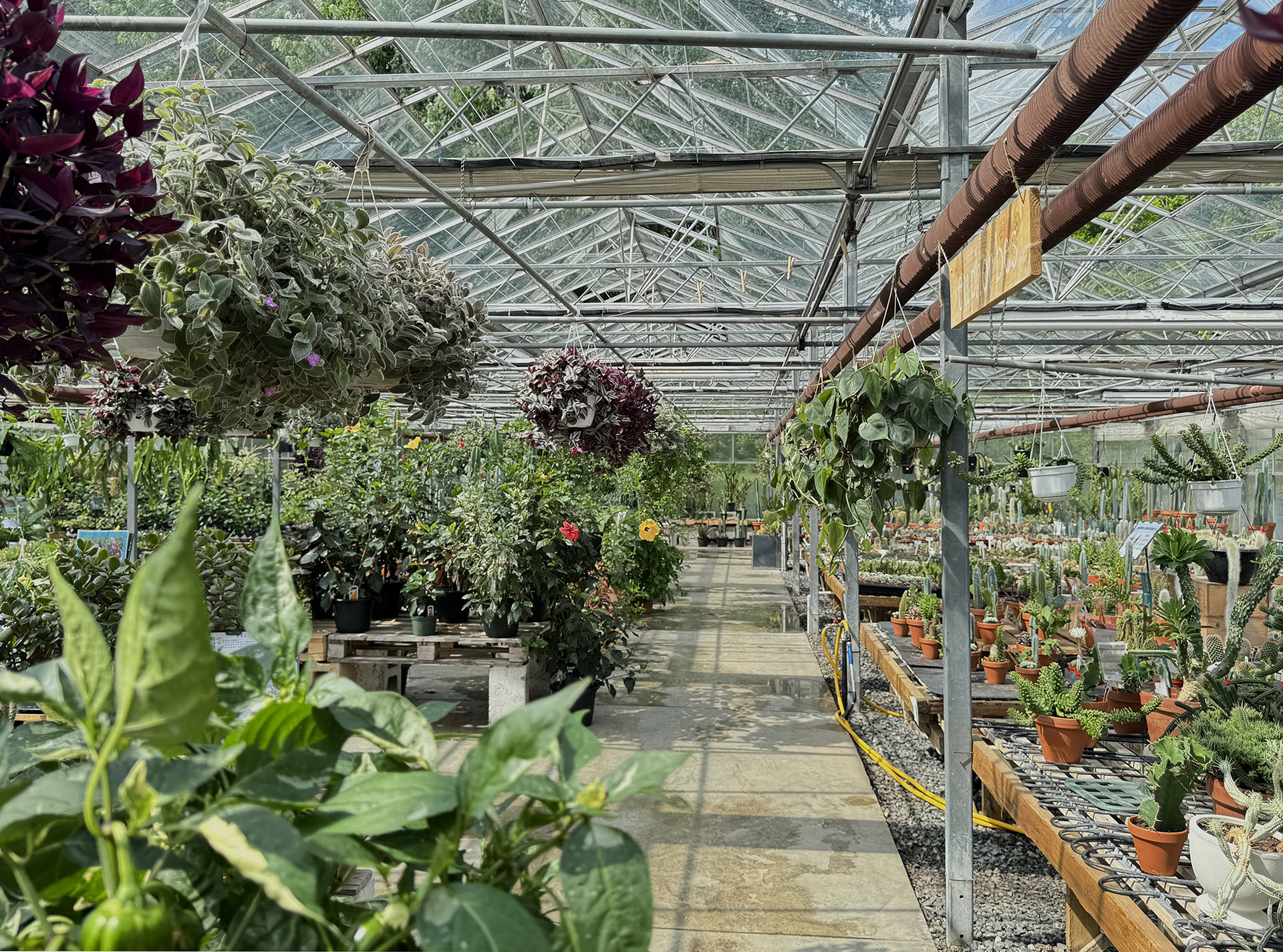 boutique le cactus fleuri