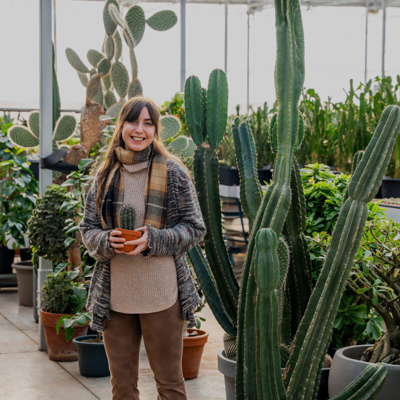Le cactus fleuri - Euphorbe géant peruvien & bebe saguaro