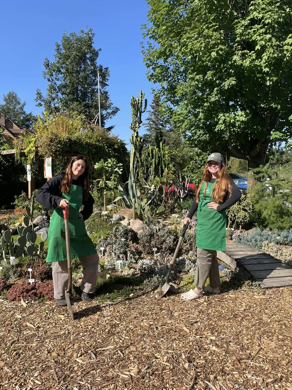 l’autocueillette de cactus et succulentes au jardin extérieur du cactus fleuri