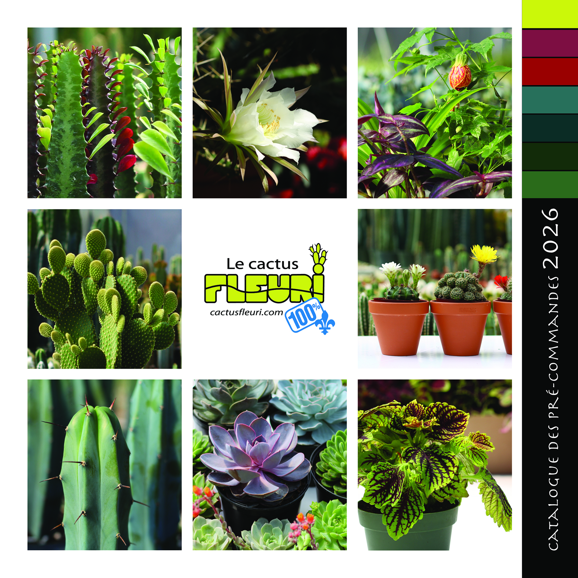 Catalogue 2026 Le Cactus Fleuri